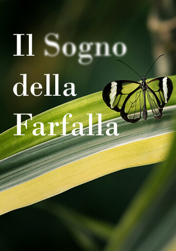 Il Sogno della Farfalla